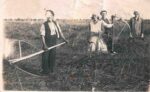 Żniwa. Od prawej Antonina, Antoni, Prakseda rodzeństwo Fabijańczyk, Teodor Sowiński mąż Praksedy. wtedy już pojawia się w Gębicach Teodor Sowiński ze Śląskowa, późniejszy mąż Praksedy Fabijańczyk. Teodor Sowiński pracował wówczas u Lewandowskiego. Rok 1934 lub 1935 kosiarze na łące